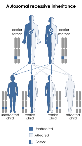 Kostmann syndrome